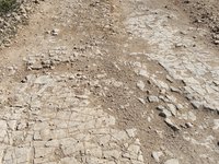 IMG_20260405_100217.jpg