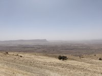 IMG_20260405_102721.jpg