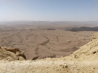 IMG_20260405_102958.jpg