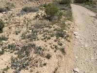 IMG_20260405_111522.jpg