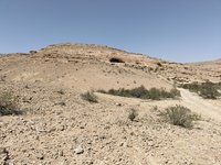 IMG_20260405_114550.jpg