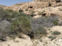 IMG_20260405_115000.jpg