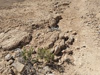 IMG_20260405_135755.jpg
