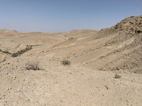 IMG_20260405_150107.jpg