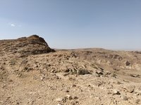 IMG_20260405_151831.jpg