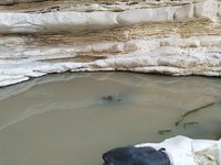 IMG_20260405_161149.jpg