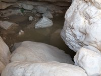 IMG_20260405_162638.jpg