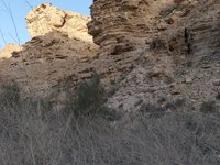 IMG_20260405_180013.jpg