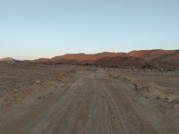 IMG_20260331_064106.jpg