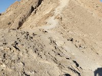 IMG_20260331_082441.jpg
