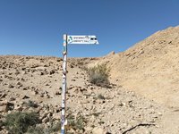 IMG_20260331_091255.jpg