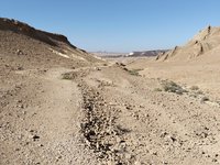 IMG_20260331_091717.jpg
