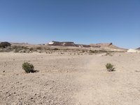 IMG_20260331_100951.jpg