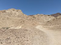 IMG_20260331_110346.jpg