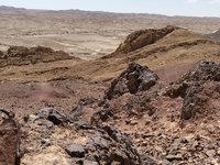 IMG_20260331_115258.jpg