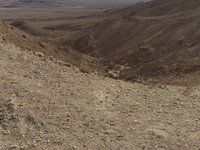 IMG_20260331_163739.jpg