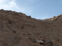 IMG_20260331_170731.jpg