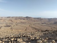 IMG_20260331_171328.jpg