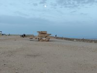 IMG_20260331_190336.jpg