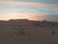 IMG_20260330_062341.jpg