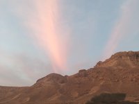 IMG_20260330_062348.jpg