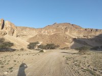 IMG_20260330_071813.jpg