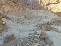 IMG_20260330_072409.jpg