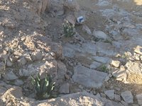IMG_20260330_074336.jpg