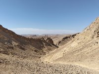 IMG_20260330_100255.jpg
