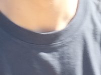 IMG_20260330_100338.jpg