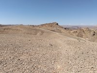 IMG_20260330_124456.jpg