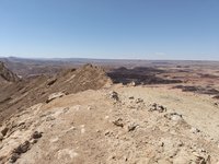 IMG_20260330_140524.jpg