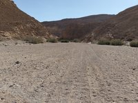 IMG_20260330_160743.jpg