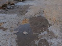 IMG_20260330_164205.jpg