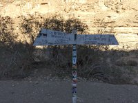 IMG_20260330_172254.jpg