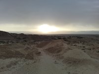 IMG_20260329_070433.jpg