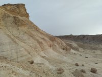 IMG_20260329_070751.jpg