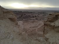 IMG_20260329_071142.jpg