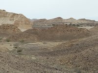 IMG_20260329_072820.jpg