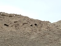 IMG_20260329_073044.jpg