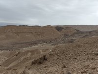 IMG_20260329_094947.jpg