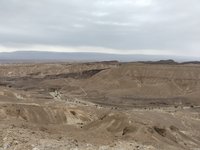 IMG_20260329_095543.jpg