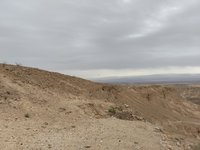 IMG_20260329_095603.jpg