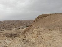 IMG_20260329_102603.jpg