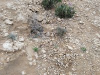 IMG_20260329_135845.jpg