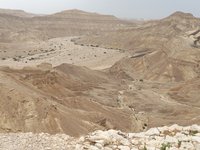 IMG_20260329_141141.jpg