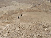 IMG_20260329_145324.jpg