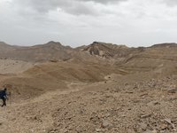 IMG_20260329_150115.jpg