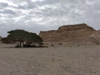 IMG_20260324_085223.jpg