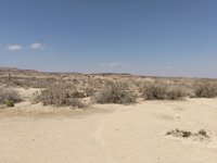 IMG_20260324_102743.jpg